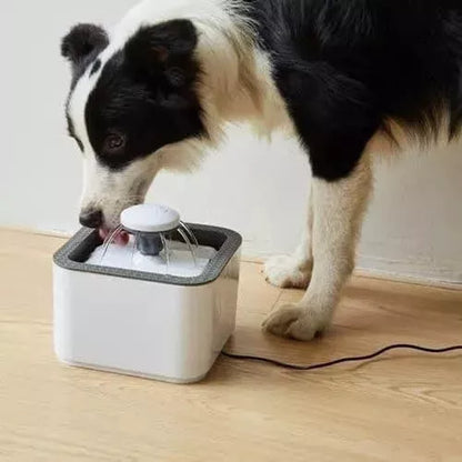 FUENTE PARA MASCOTAS